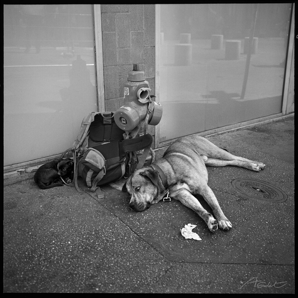 Rue Sainte-Marie-des-Terreaux, Lyon, 2023